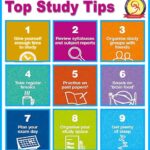 Incredible Study Techniques For Exam Domination: Unlocking Your Academic Potential